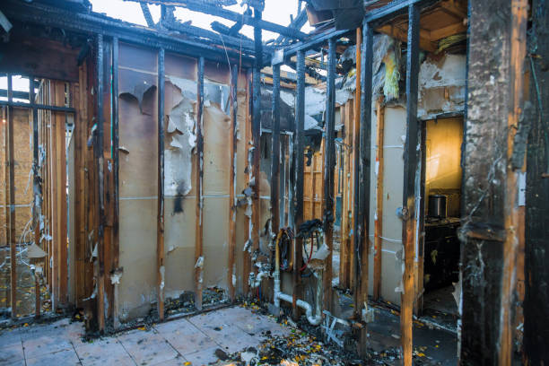Professional Fire Damage Removal technician working in Roseland, LA